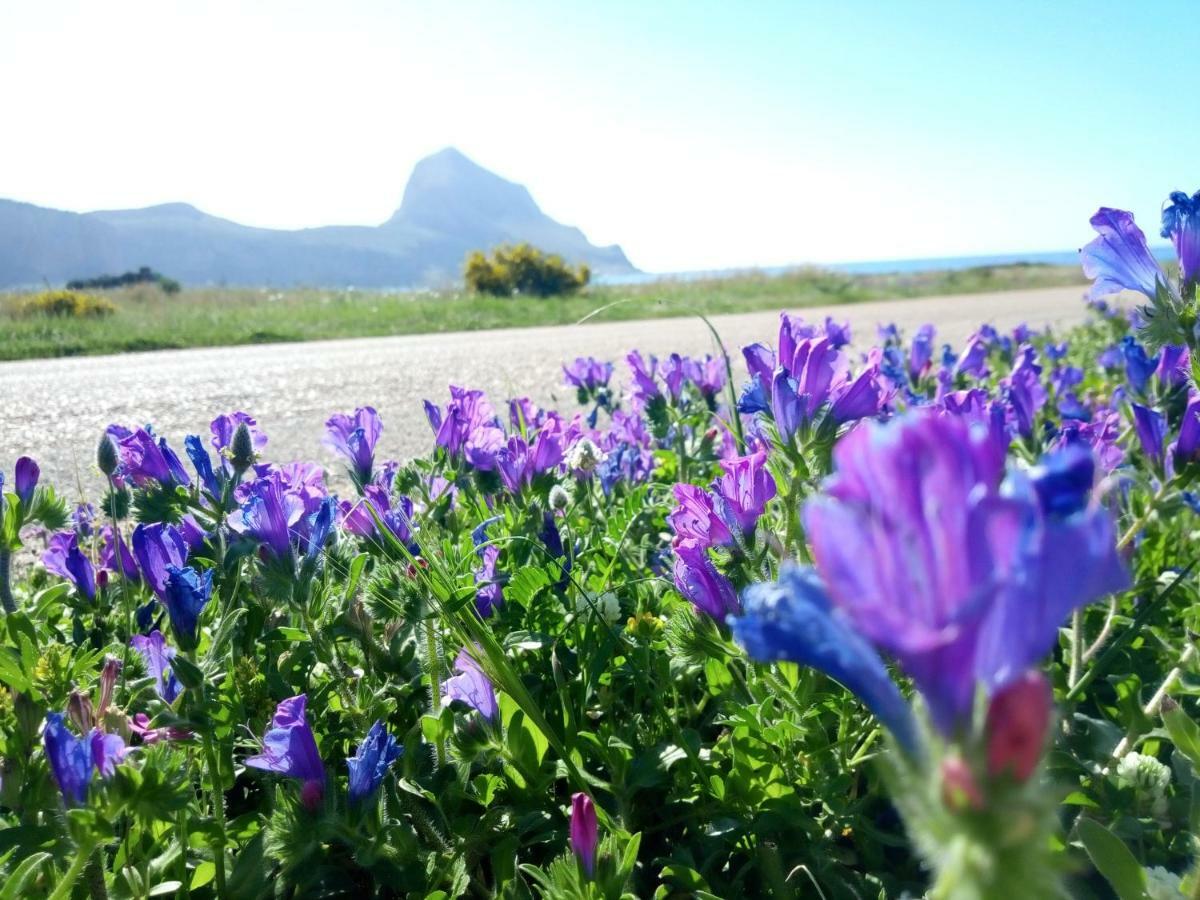 Karma B&B San Vito Lo Capo Exteriér fotografie
